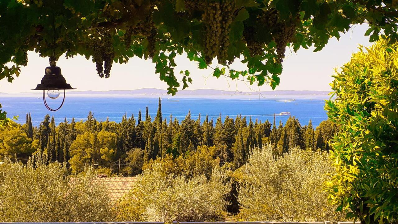Mediterranean House - Forest Marjan Split Buitenkant foto